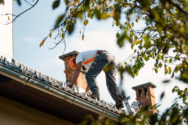 Best Emergency Roof Repair  in Algonac, MI