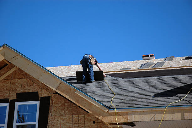 Best Roof Insulation Installation  in Algonac, MI