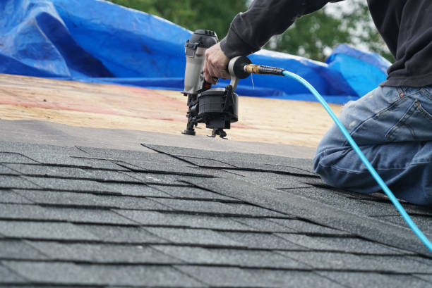 Fast & Reliable Emergency Roof Repairs in Algonac, MI
