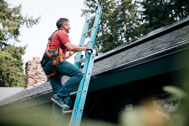Best Roof Moss and Algae Removal  in Algonac, MI