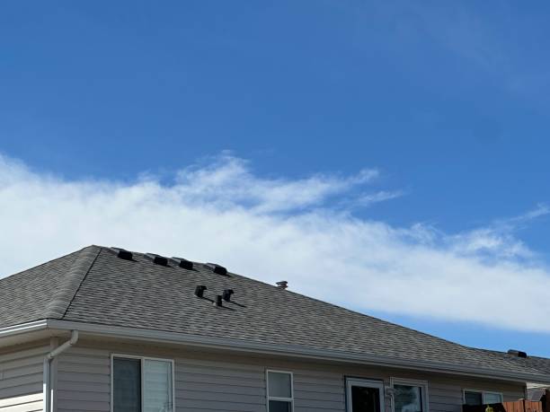 Best Gutter Installation and Repair  in Algonac, MI