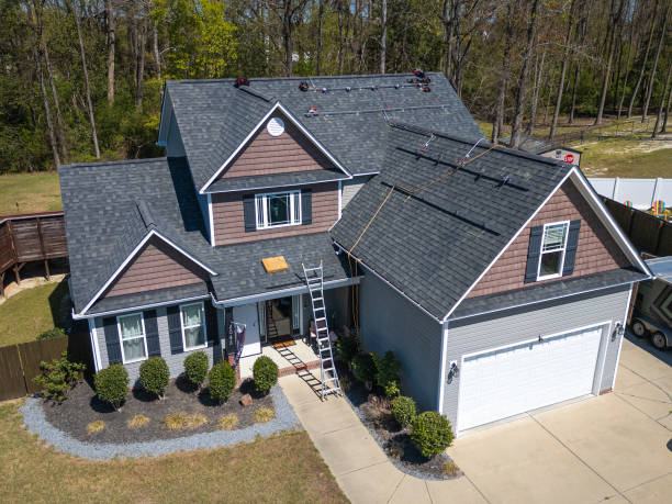 Best Asphalt Shingles Roofing  in Algonac, MI